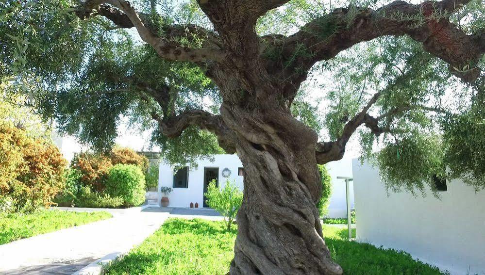 Niriides Villas Selinitsa Extérieur photo